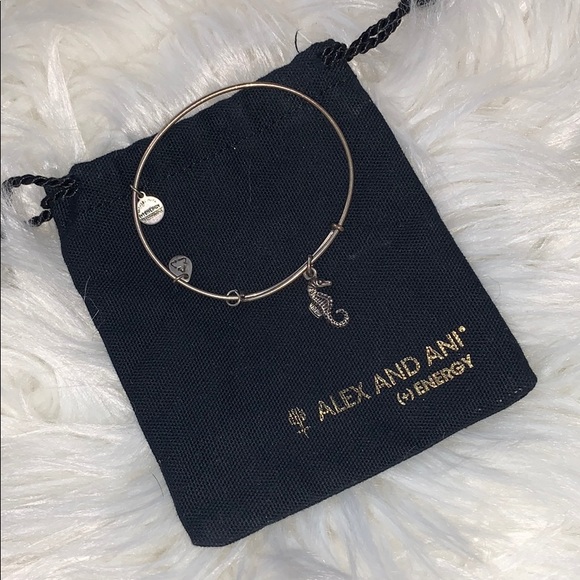 Alex and Ani |  Seahorse Charm Bracelet - Picture 5 of 5